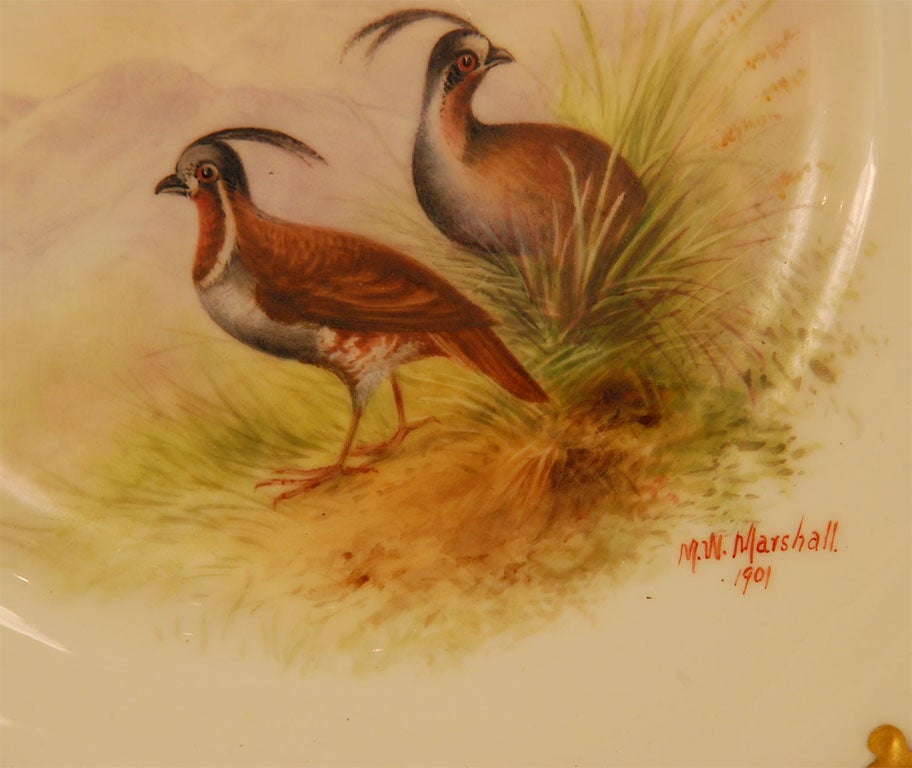 Set of Twelve Doulton Hand-Painted Bird Plates 3