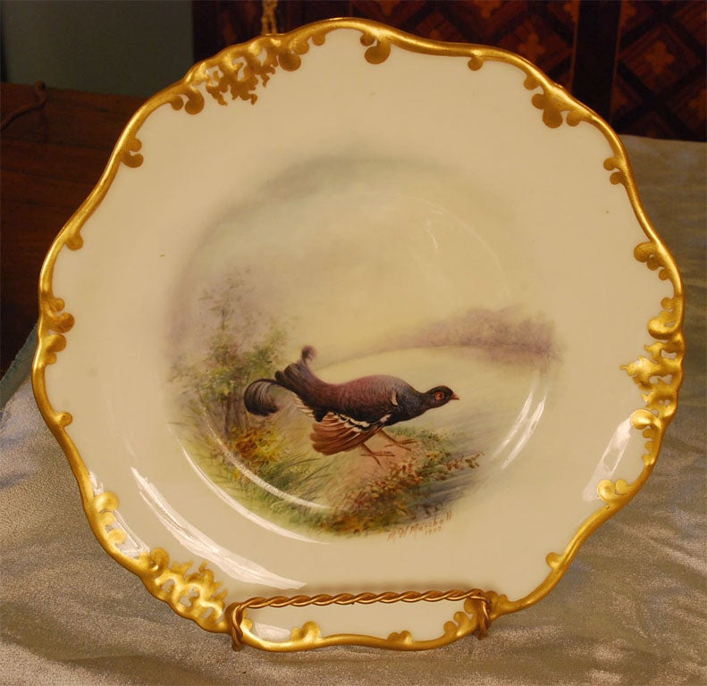 Set of Twelve Doulton Hand-Painted Bird Plates 5
