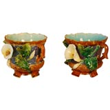 Pair of Majolica Jardinieres with Calla Lilies