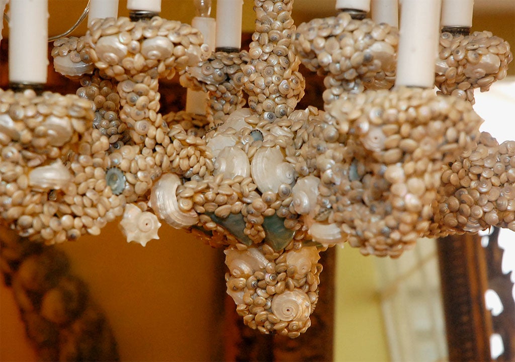 A variety of shell types including conch, nautilus, pearly tops, and strombus are affixed to a twelve arm vintage metal chandelier.  Note the vibrant turquoise and soft sea foam coloration.