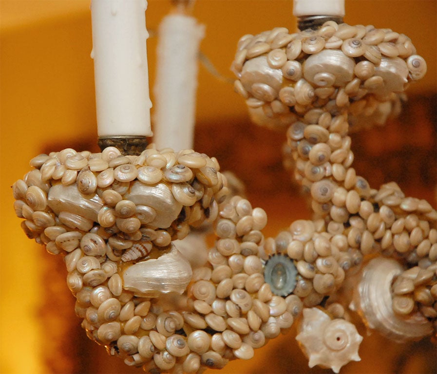 Unique Seashell Chandelier In Excellent Condition In Los Angeles, CA