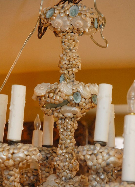 Mid-20th Century Unique Seashell Chandelier