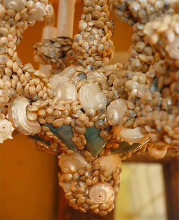 Metal Unique Seashell Chandelier