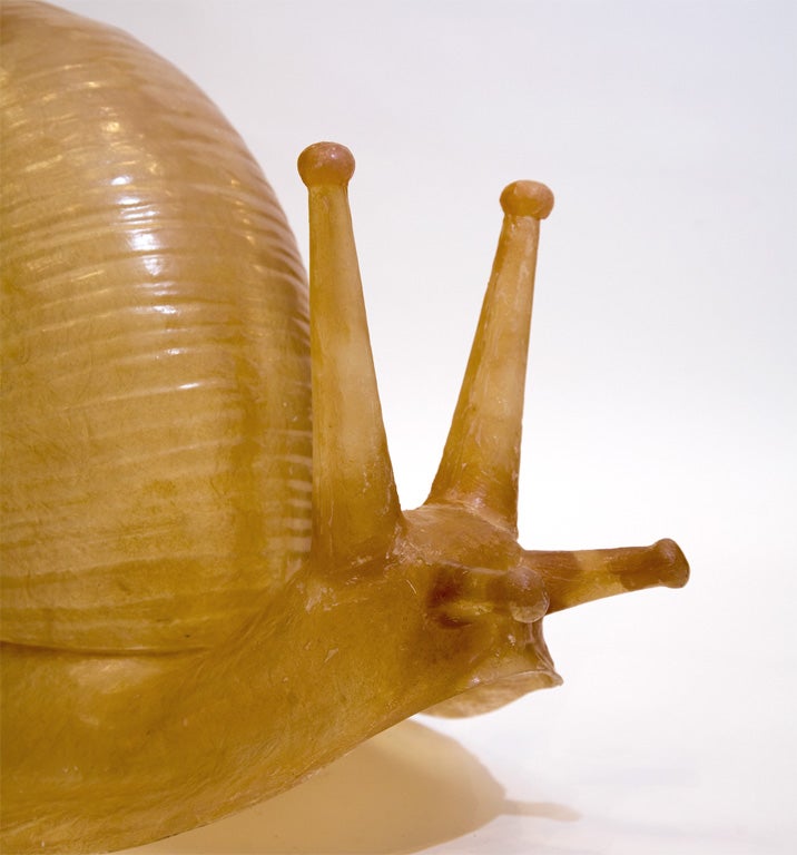 tony snail