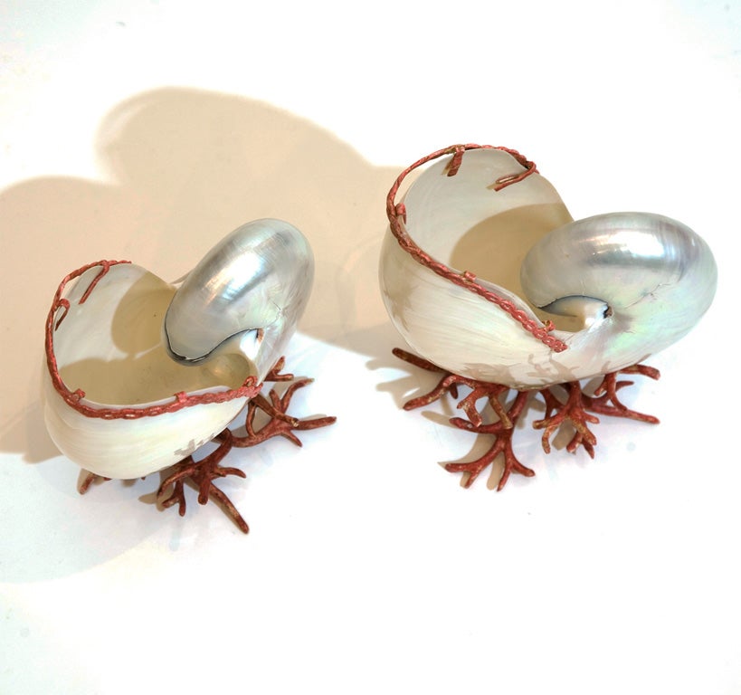 Pair of Chambered Nautiluses by Tony Duquette 4