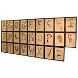 The alphabet (of course)