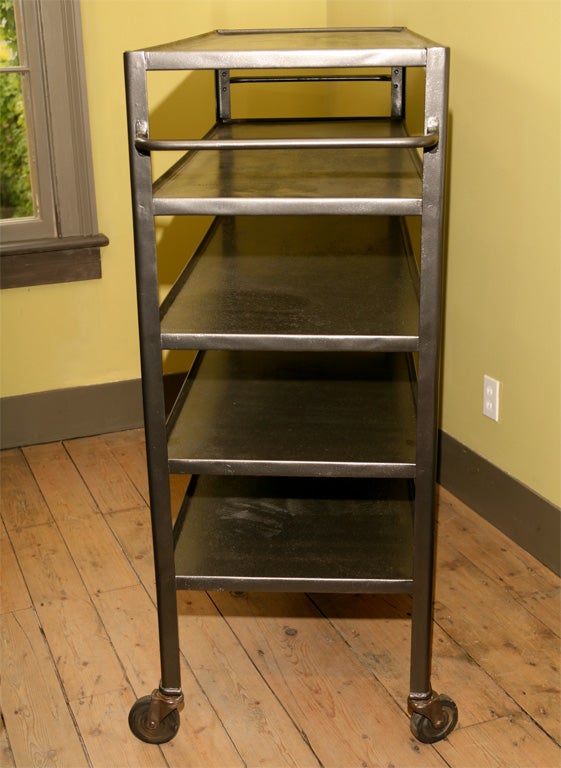 American Industrial Shelves on Wheels
