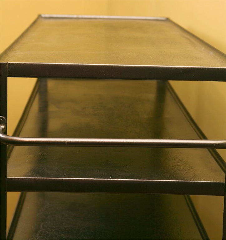 Industrial Shelves on Wheels 1