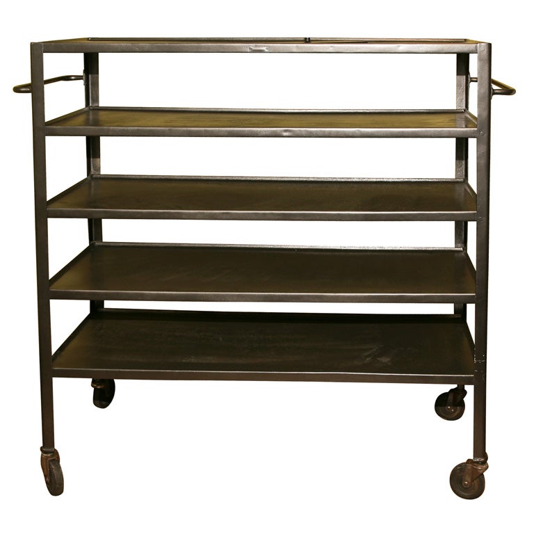Industrial Shelves on Wheels