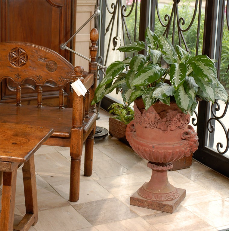 Because of the color, this very large urn appears to be terracotta at first glance, but it is actually cast iron. It is decorated with grape vines, rams heads and has acanthus leaves around the rim and on the base. It is large enough to fill a