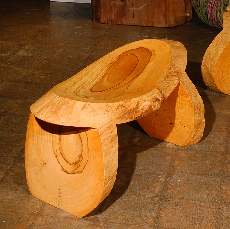 American Direct carved, Palo Verde Benches,  by Howard Werner