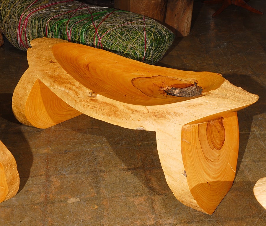 Contemporary Direct carved, Palo Verde Benches,  by Howard Werner