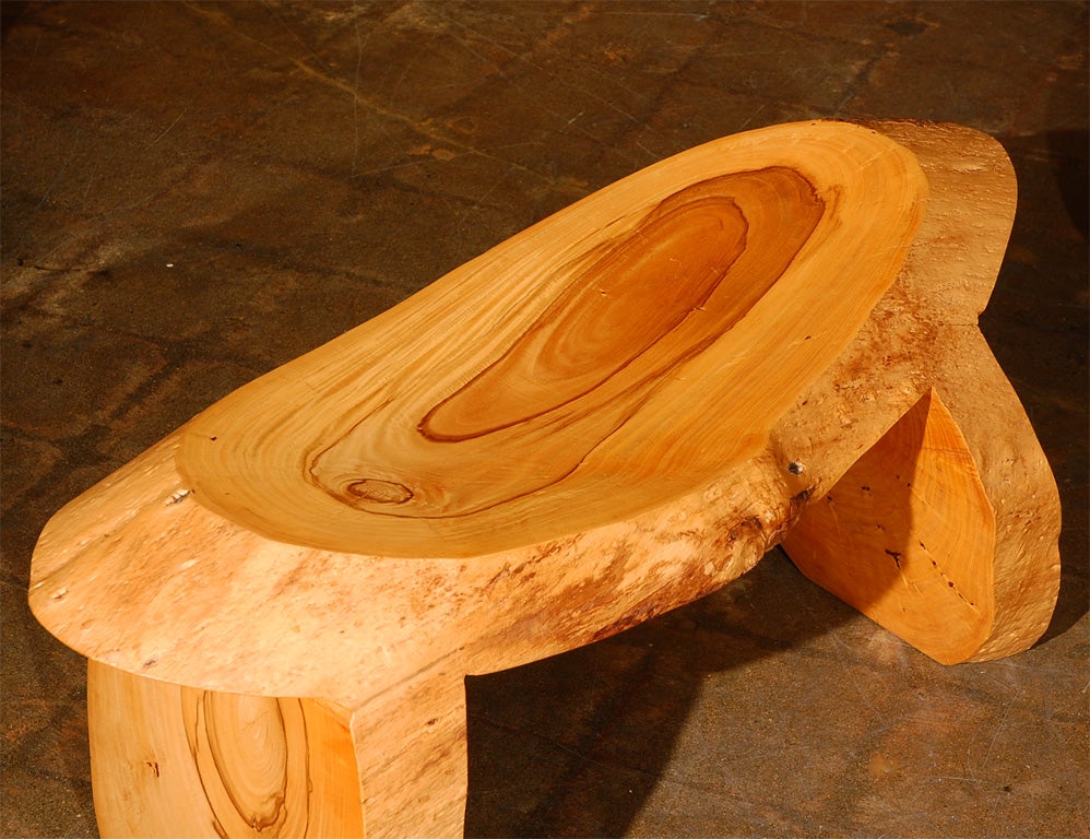 Direct carved, Palo Verde Benches,  by Howard Werner 2