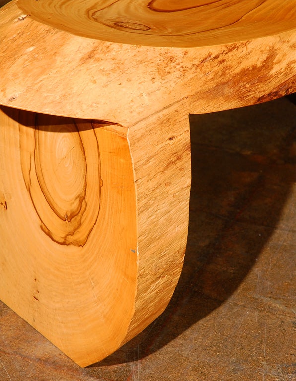 Direct carved, Palo Verde Benches,  by Howard Werner 3