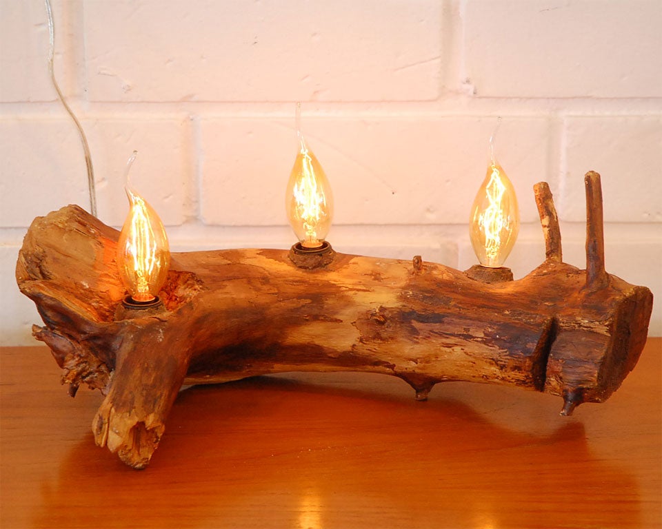 Organic Log Light