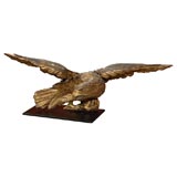 Regency Period Eagle