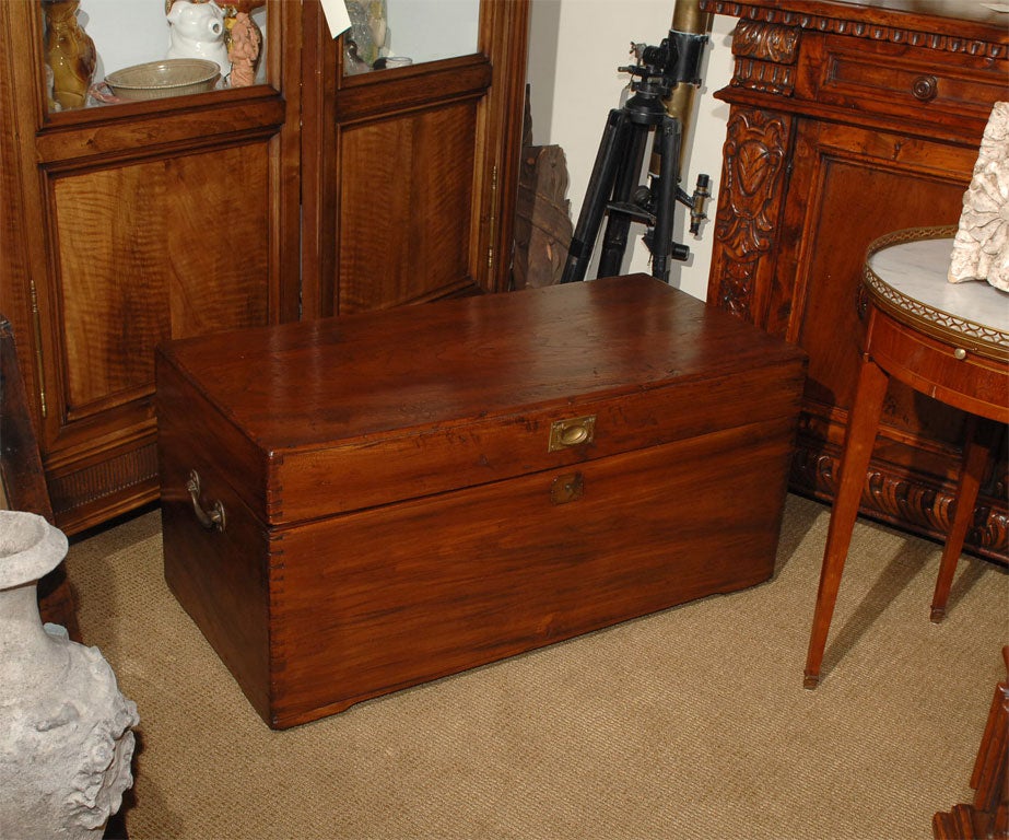 Camphor Campaign Trunk
