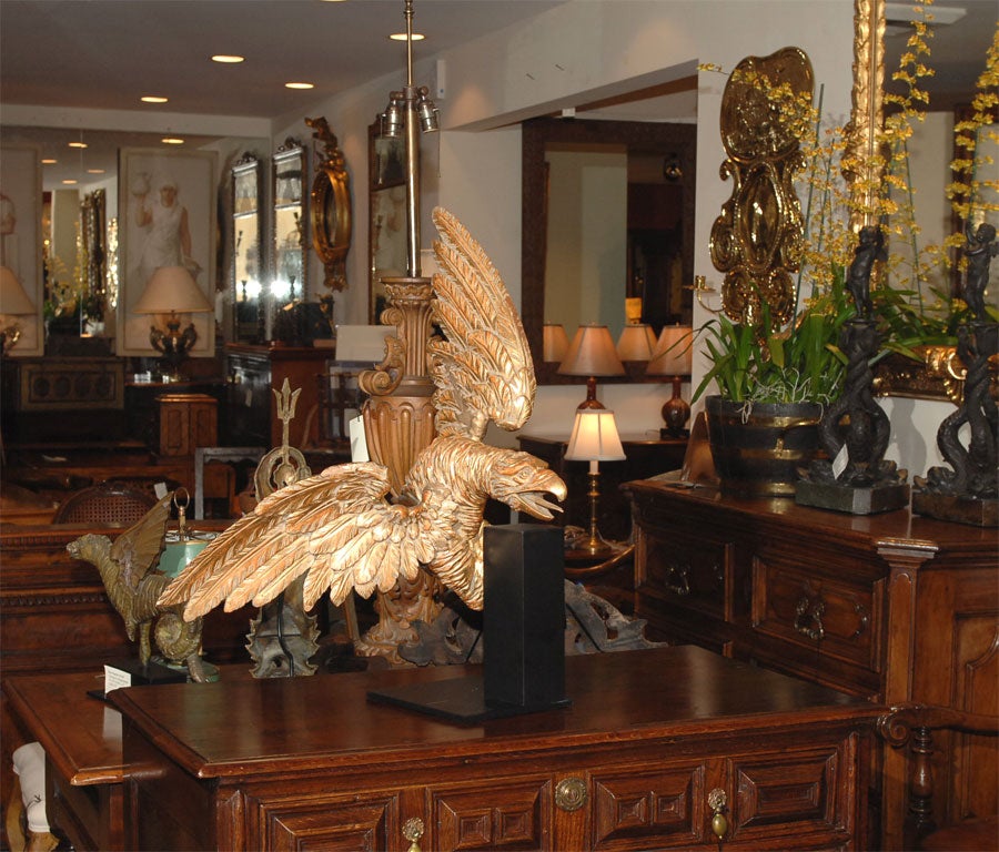 Wonderfully carved 19th century Continental European giltwood carving of an eagle.