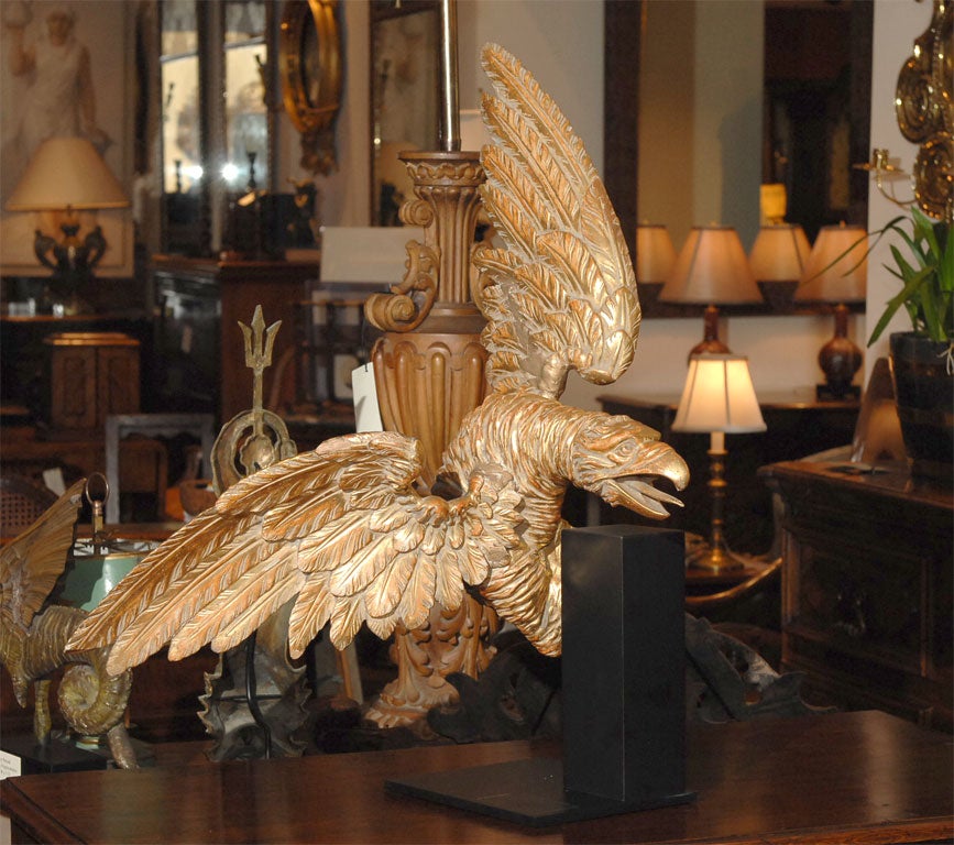 Carved Dramatic Giltwood Eagle