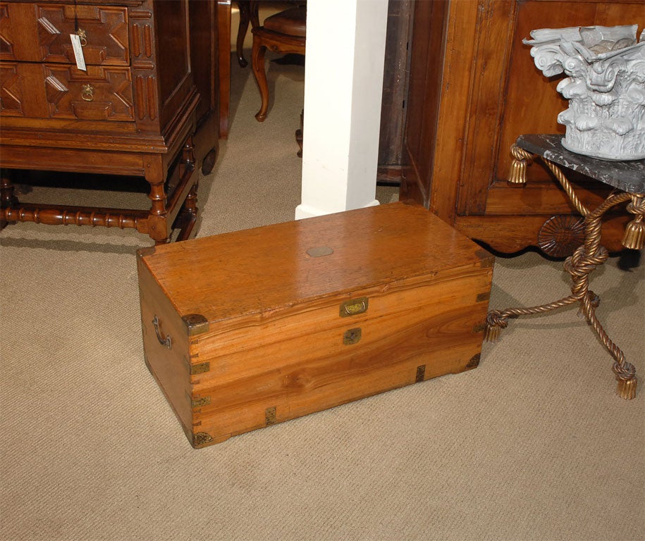 Camphor Campaign Trunk