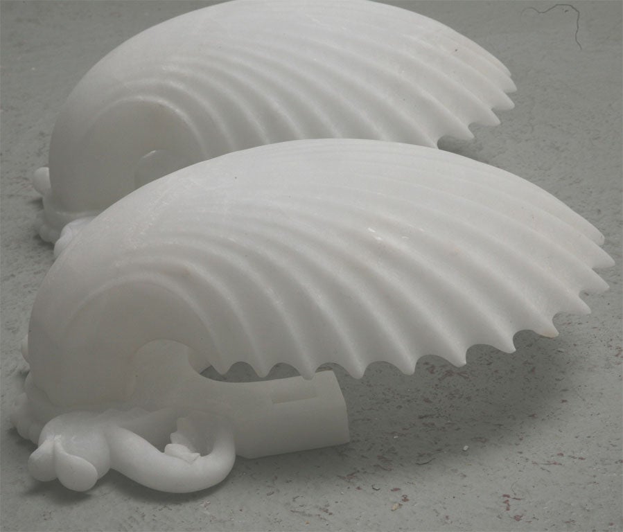 Pair of Italian Alabaster Shell Plaques 3