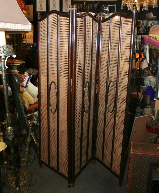 Austrian 19th Century Bentwood Screen by Thonet