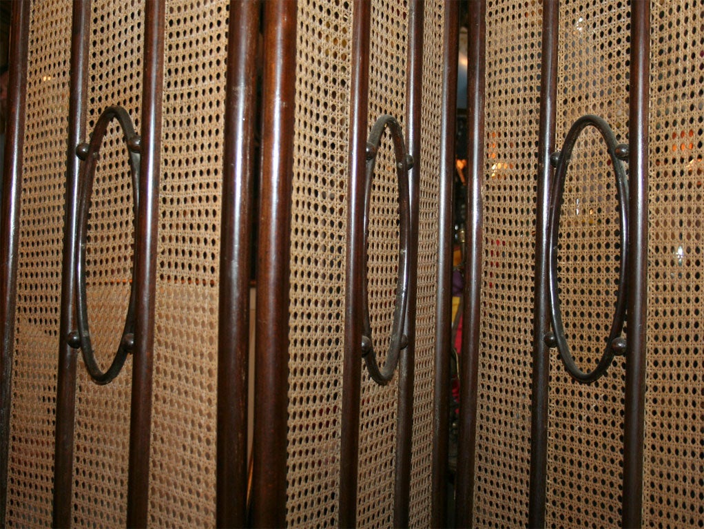 19th Century Bentwood Screen by Thonet 1