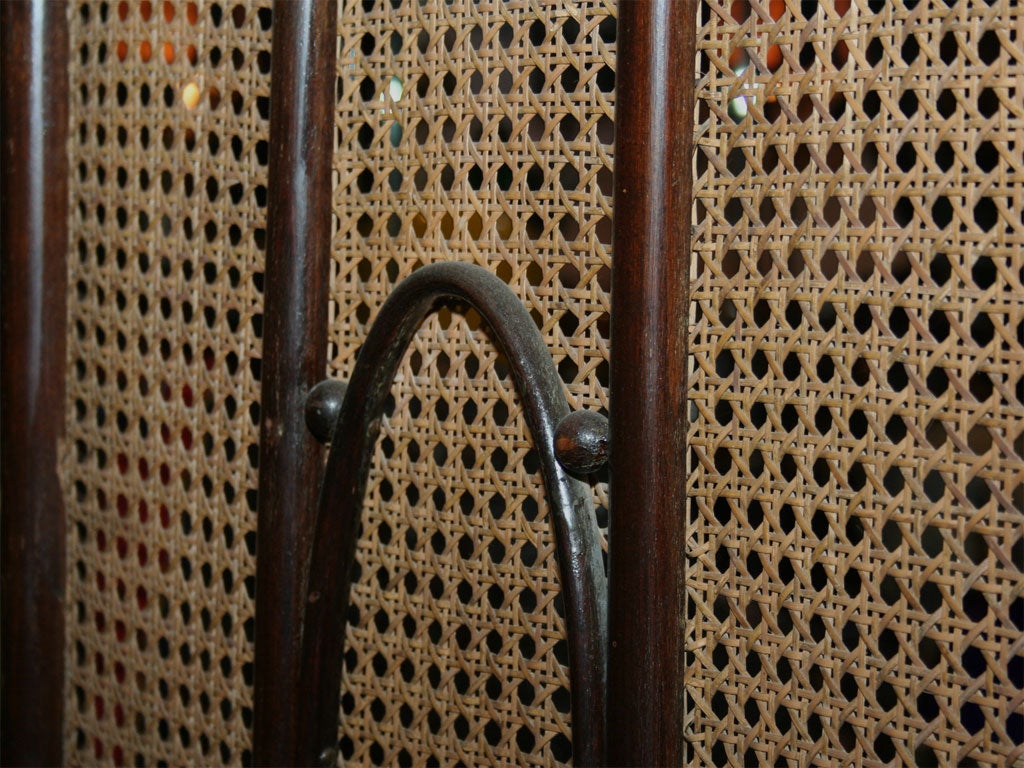 19th Century Bentwood Screen by Thonet 2