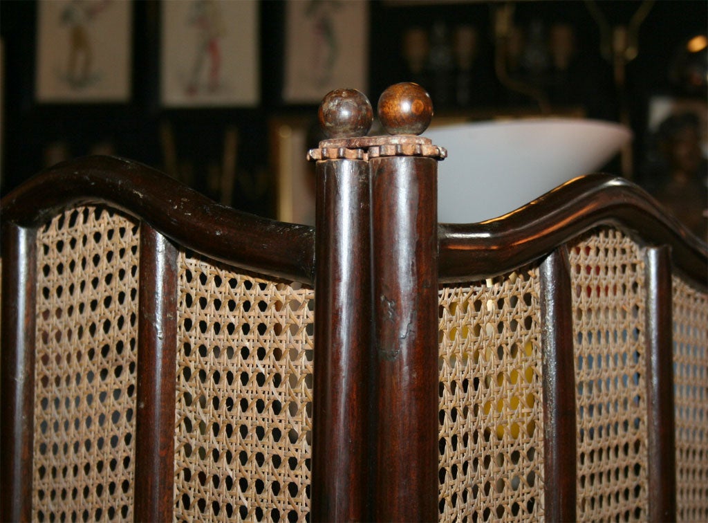 19th Century Bentwood Screen by Thonet 4