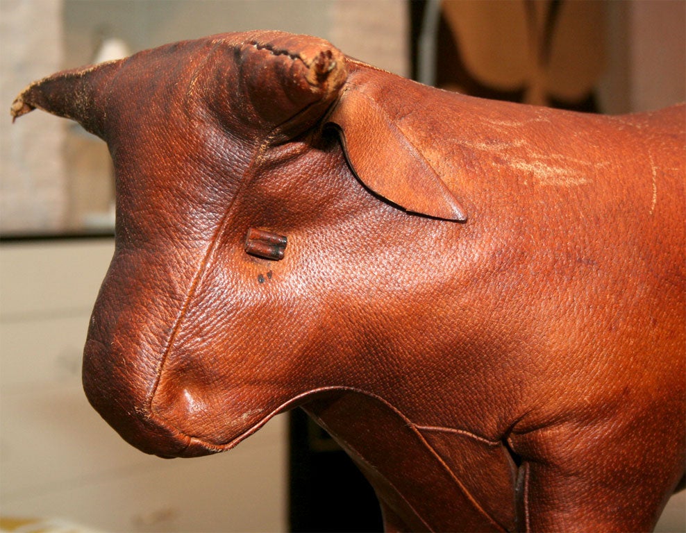 American Vintage leather  bull