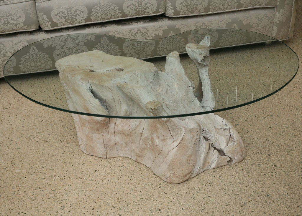 The pale white-washed color and gnarled twists of this table make it one of the best driftwood pieces we've offered. Kidney -shaped  3/8