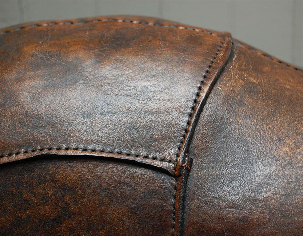 Abercrombie & Fitch Leather stuffed rhino 6