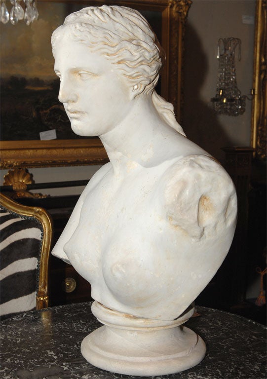 20th Century Painted Plaster Bust of Diana