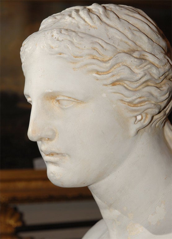 Painted Plaster Bust of Diana 2