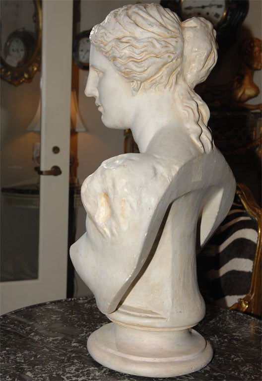Painted Plaster Bust of Diana 3