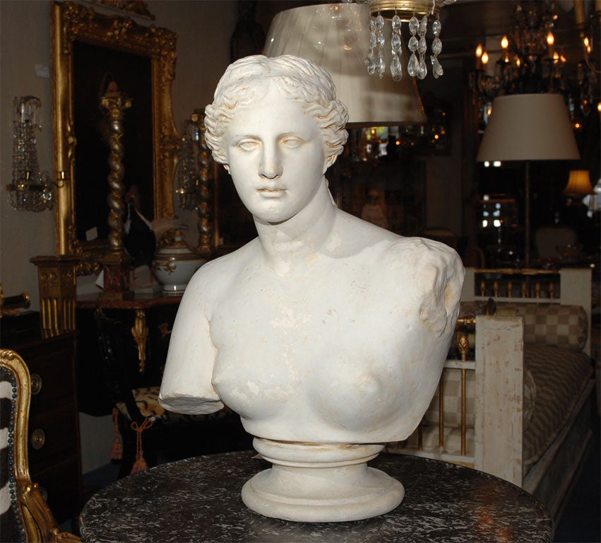 Painted Plaster Bust of Diana 4