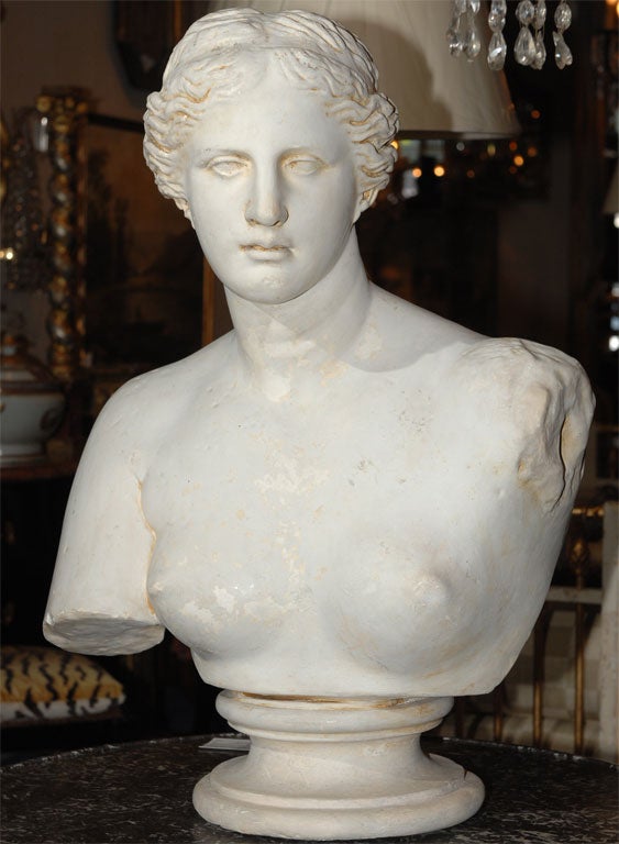 Painted Plaster Bust of Diana 5