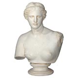Painted Plaster Bust of Diana