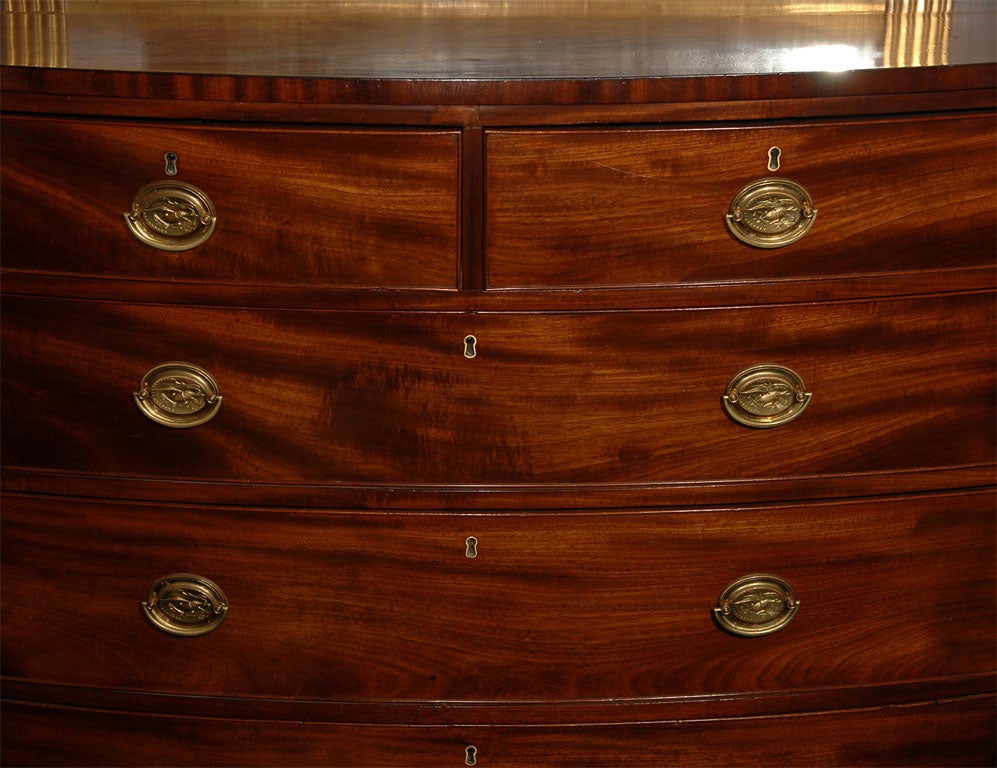 Federal Mahogany Bowfront Chest of Drawers 3