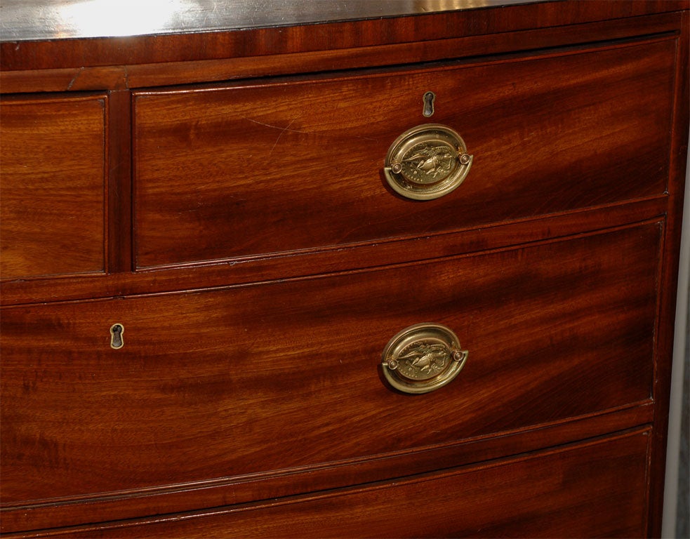 Federal Mahogany Bowfront Chest of Drawers 4