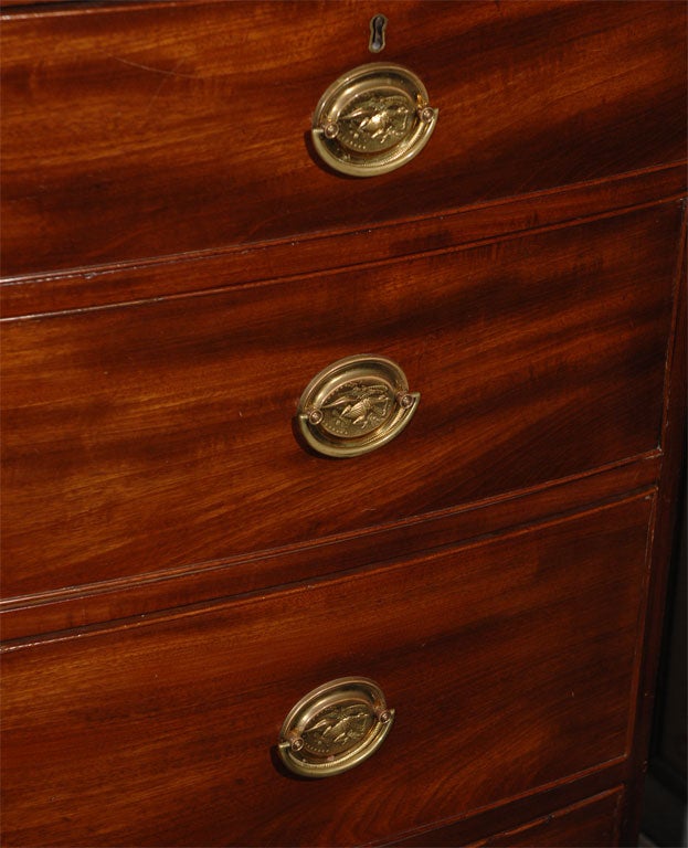 Federal Mahogany Bowfront Chest of Drawers 5