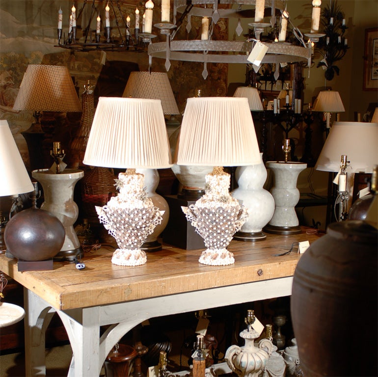 Pair of Seashell lamps