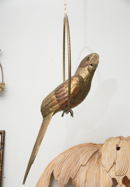 Bustamante Parrot 3