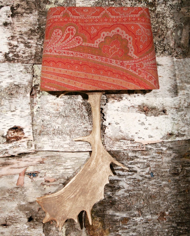 Pair of Antique Moose Antler Sconces with Antique Paisley Shades 4