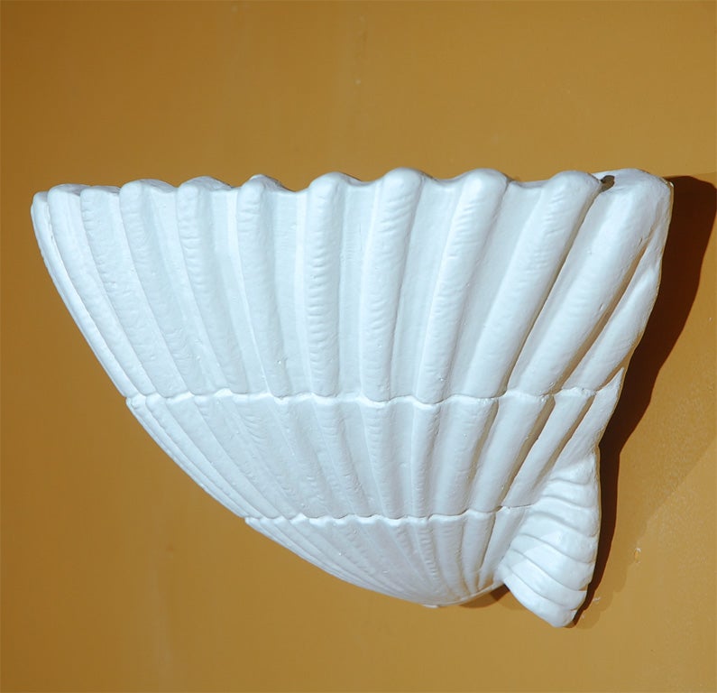 Mid-20th Century Pair of Shell Wall Sconces