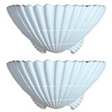Pair of Shell Wall Sconces