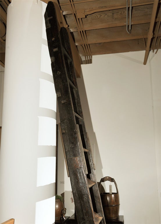 19th Century Japanese Sugi Ladder