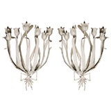 Pair of  1950's Tulip Sconces