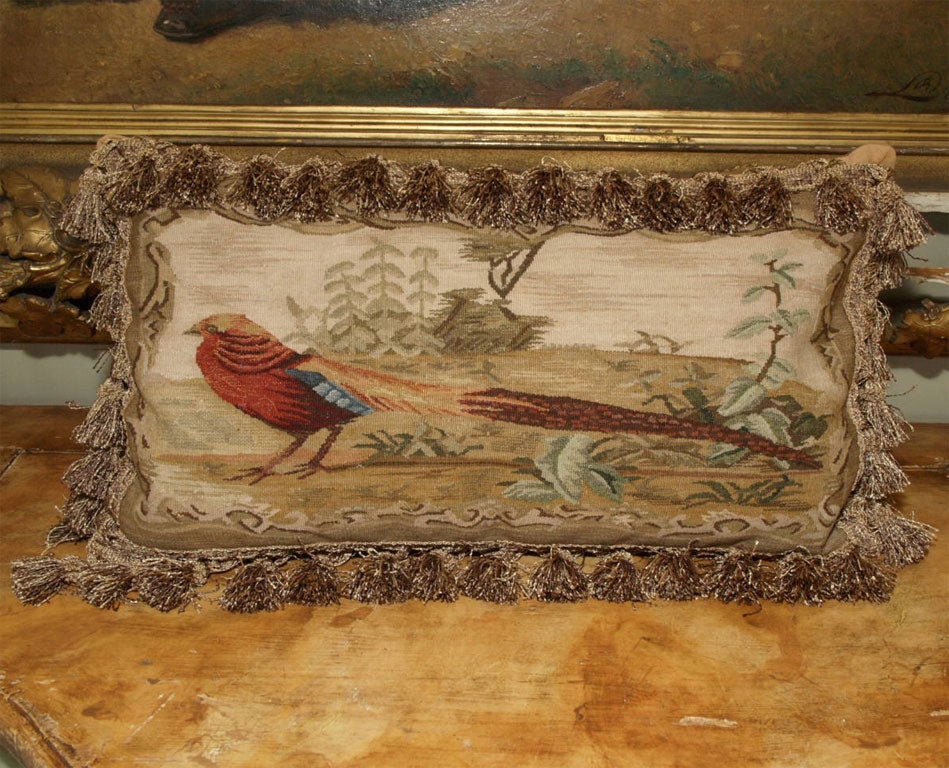 Aubusson weave of colorful pheasant with fringe decor