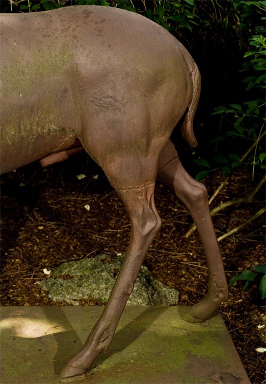 cast iron stag